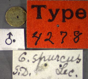 Media type: image;   Entomology 4278 Aspect: labels